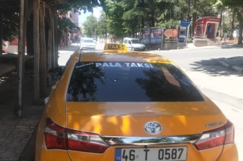 Hastane Pala Taksi 